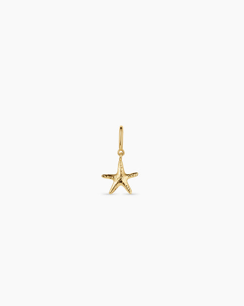 Starfish Parker Charm