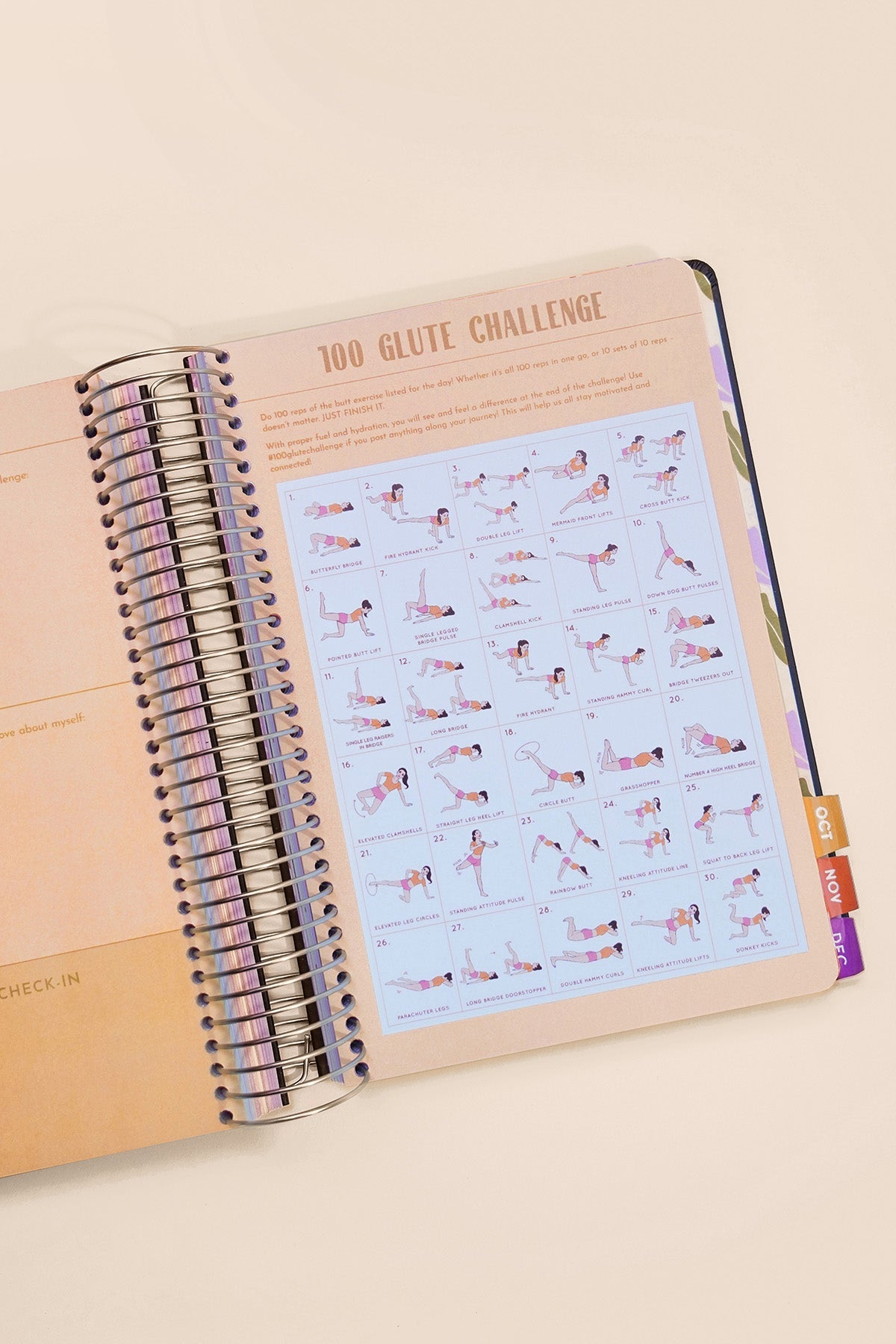 2026 Fit Planner + Stickers - Black Metallic